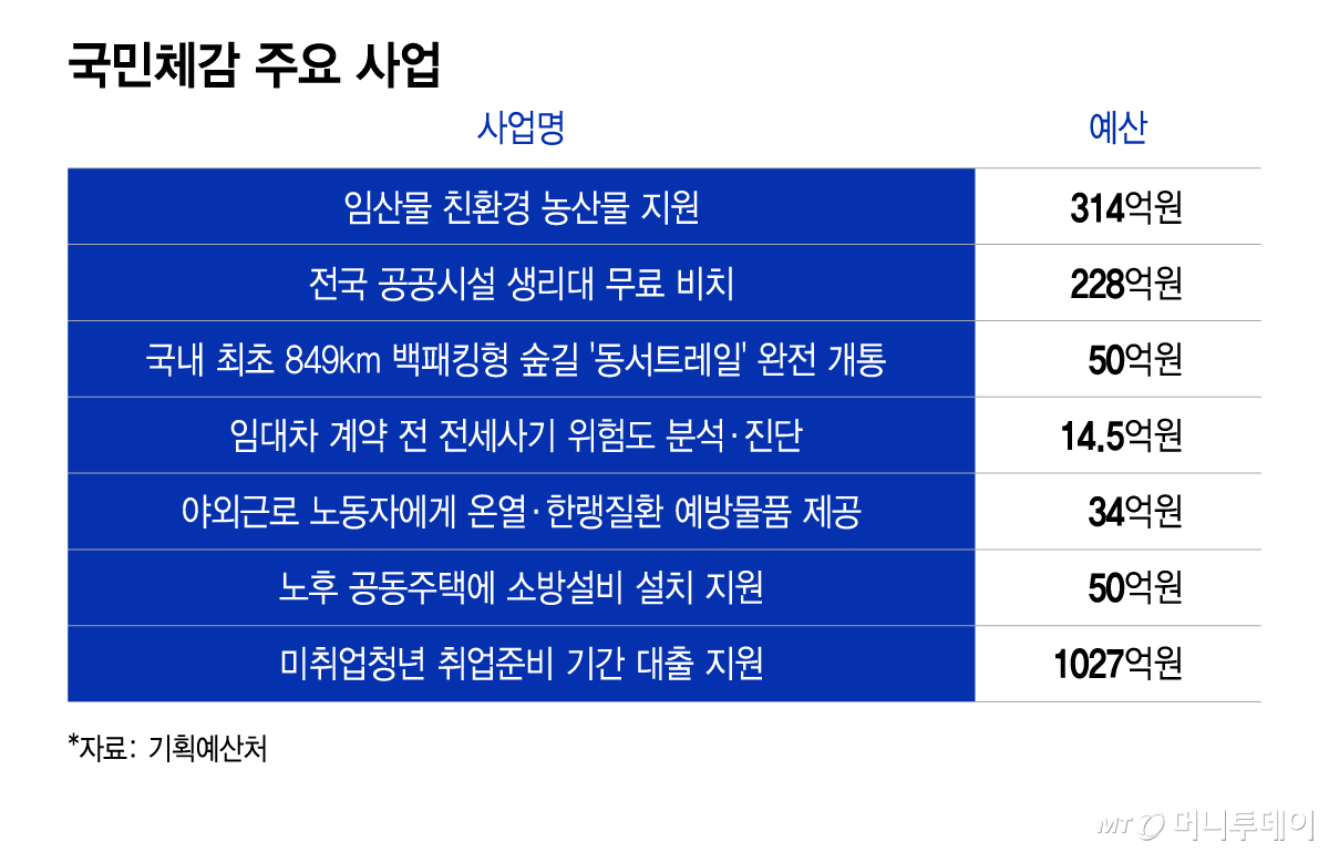 국민체감 주요 사업/그래픽=이지혜