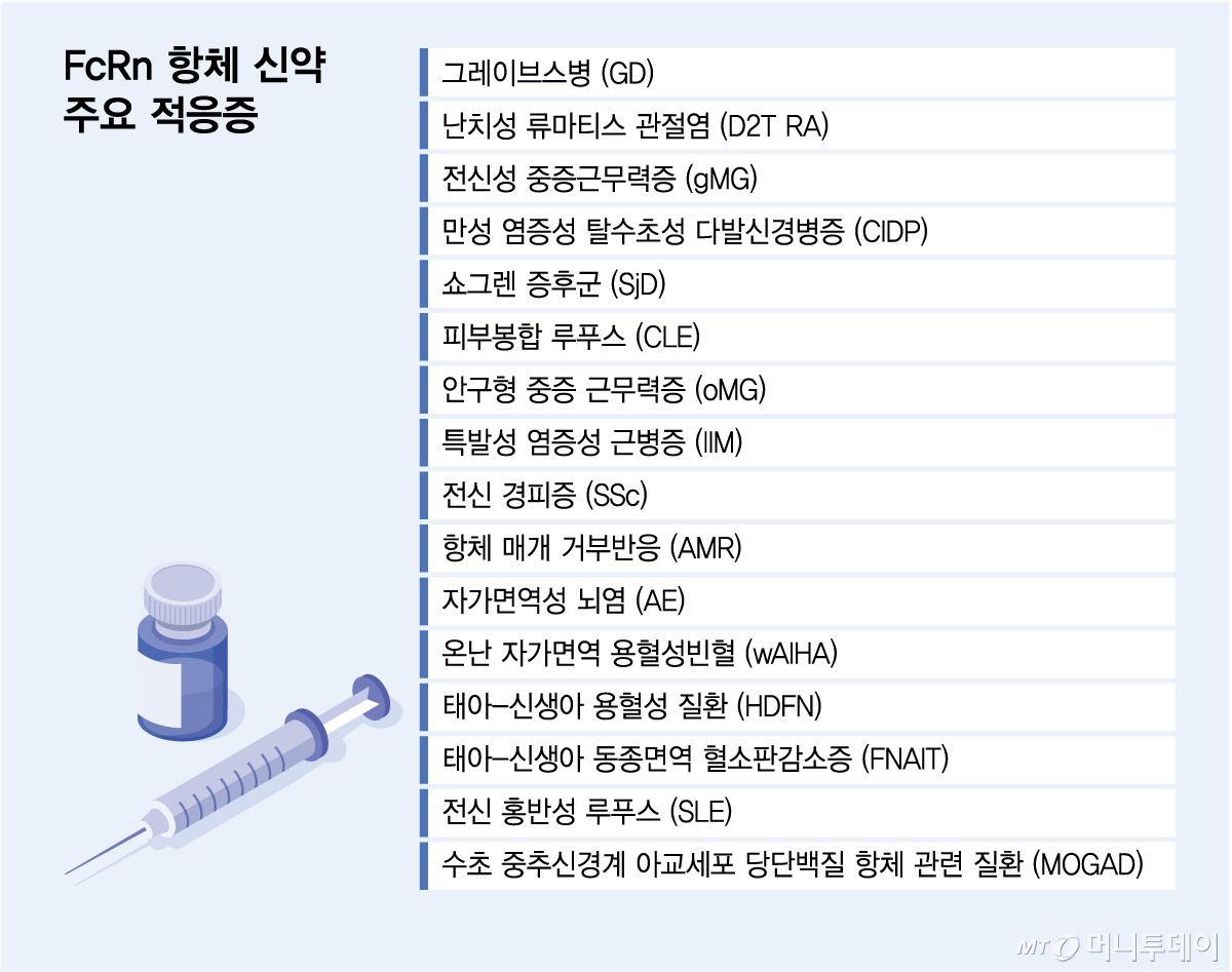 FcRn 항체 신약 주요 적응증/그래픽=김다나
