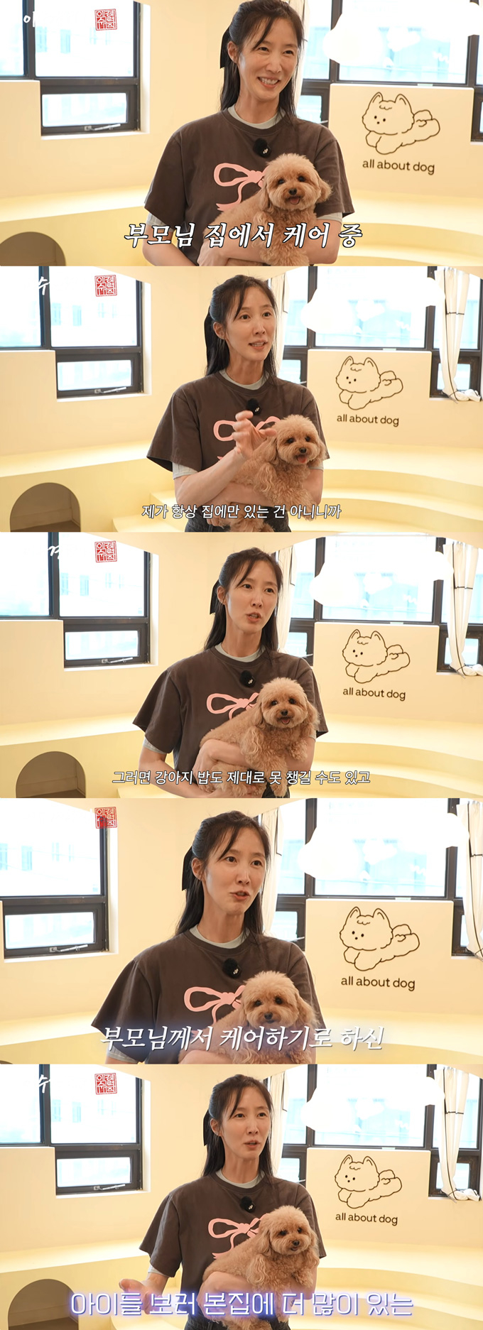 배우 이수경이 반려견들은 노견이라 부모님이 보살피고 있다며 파양설을 부인했다. /사진=유튜브 채널 '이수경력직' 영상