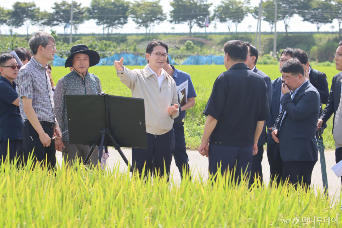 김종구 농식품부 차관이 3일 전남광주통합특별시 나주의 벼 재배 현장을 찾아 벼 생육상태 점검과 현장 관계자들의 애로사항을 직접 청취했다. /사진=농식품부