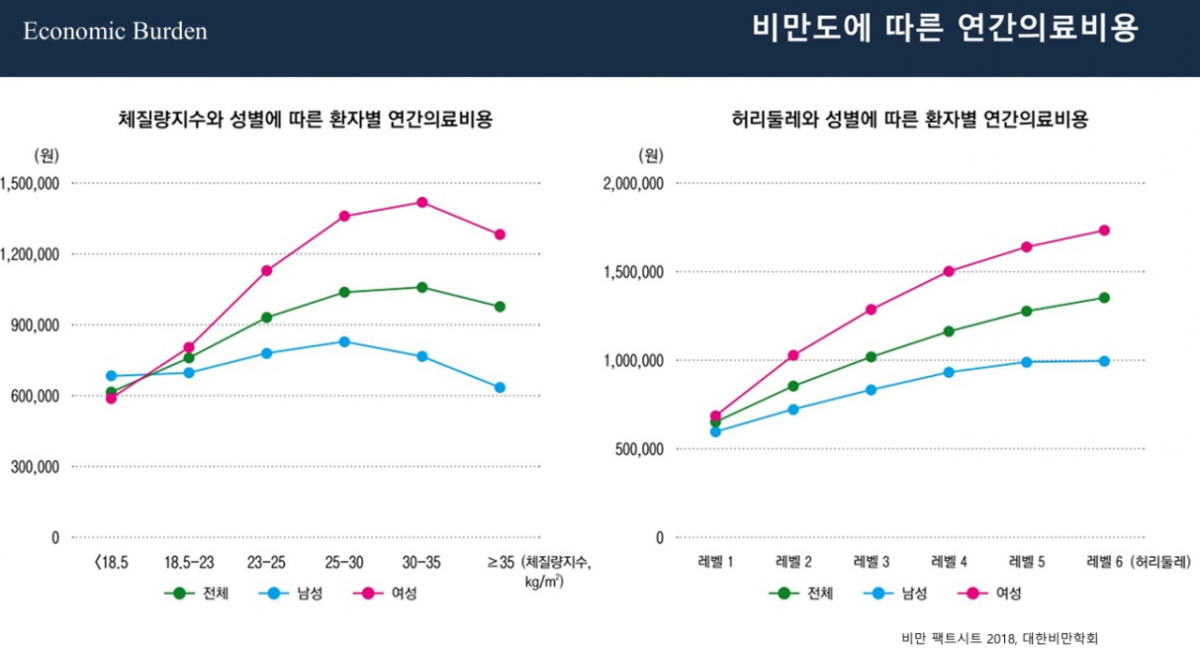 BMI(체질량지수)·허리둘레·성별에 따라 환자가 내는 연간의료비용. /자료=대한비만학회 '비만팩트시트 2018'
