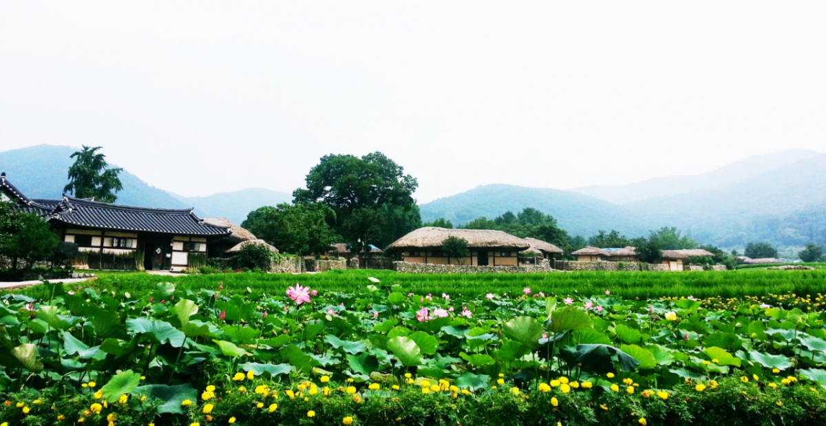 충남 아산 외암마을/사진=농림축산식품부 제공