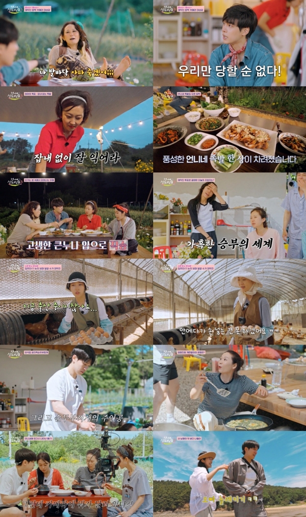 tvN '언니네 산지직송3'./사진제공=tvN