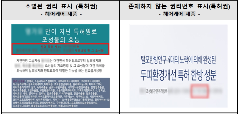 허위표시 사례./사진제공=지식재산처