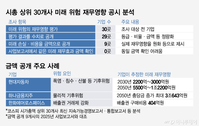 시총 상위 30개사 미래 위험 재무영향 공시 분석_금액 공개 주요 사례/그래픽=임종철