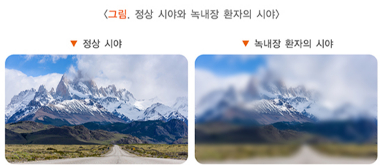 /자료=국가건강정보포털