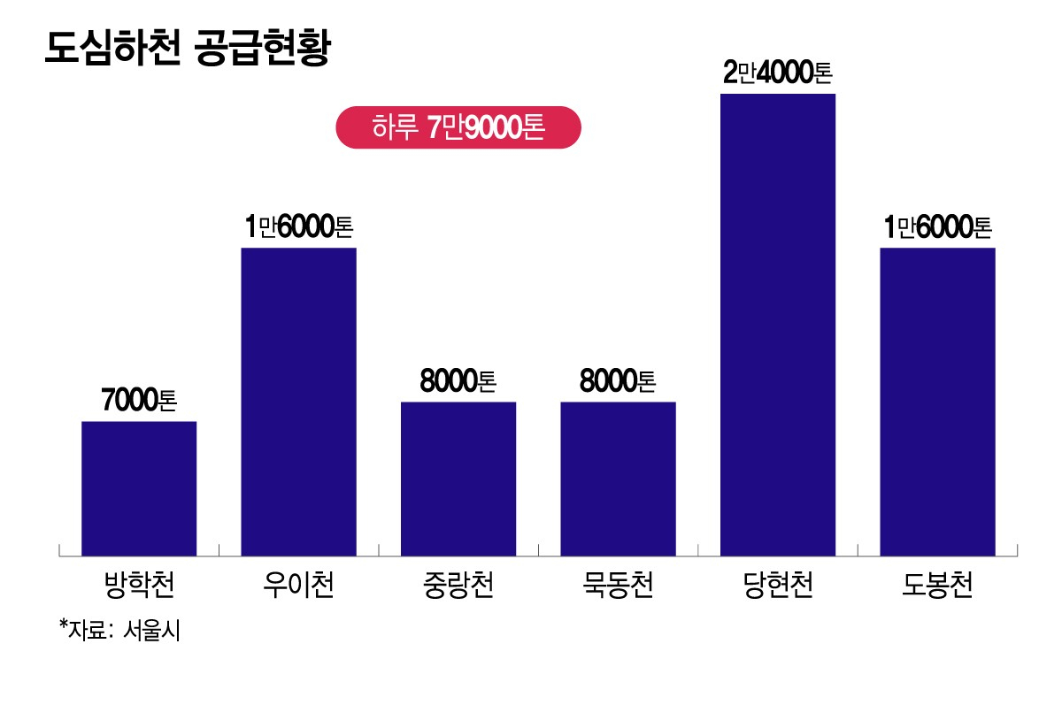 도심하천 공급현황/그래픽=이지혜