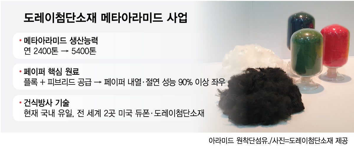 도레이첨단소재이 메타아라미드 사업 현황. /그래픽=최헌정