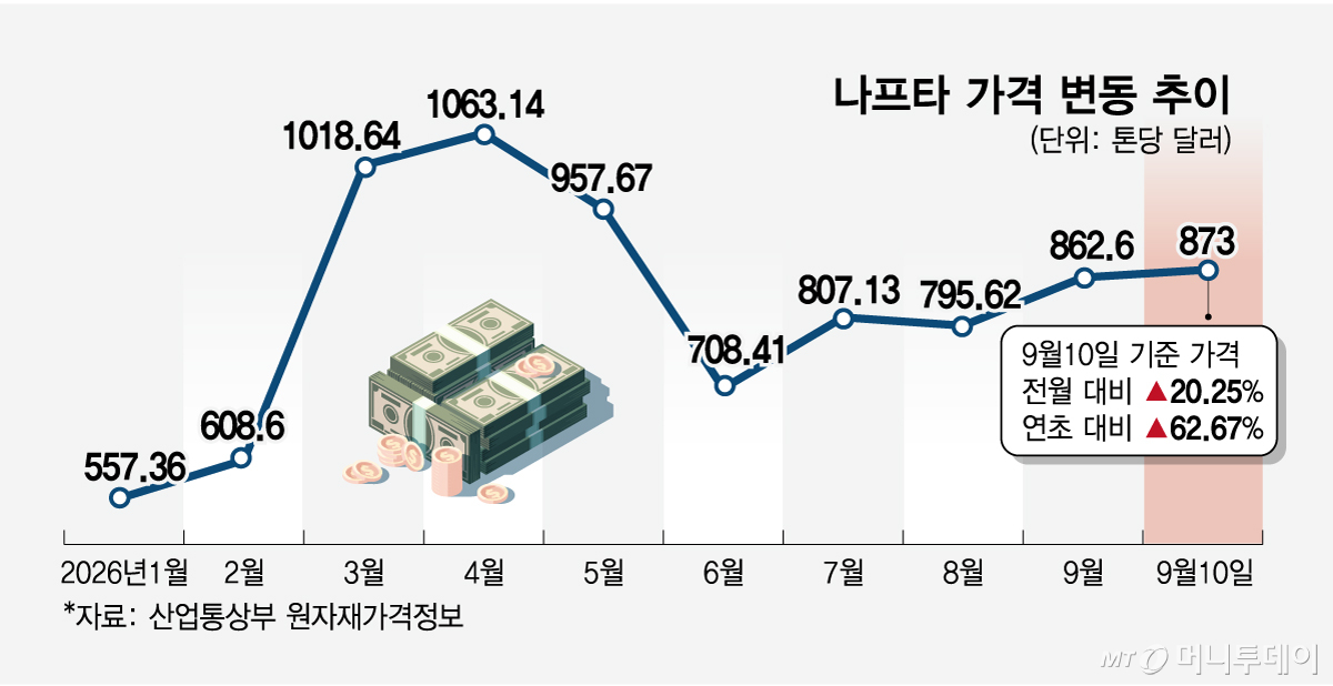 나프타 가격 변동 추이/그래픽=임종철