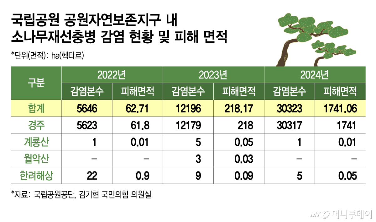 국립공원 공원자연보존지구 내 소나무재선충병 감염 현황 및 피해 면적/그래픽=김지영