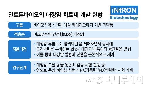인트론바이오의 대장암 치료제 개발 현황. /그래픽=김지영