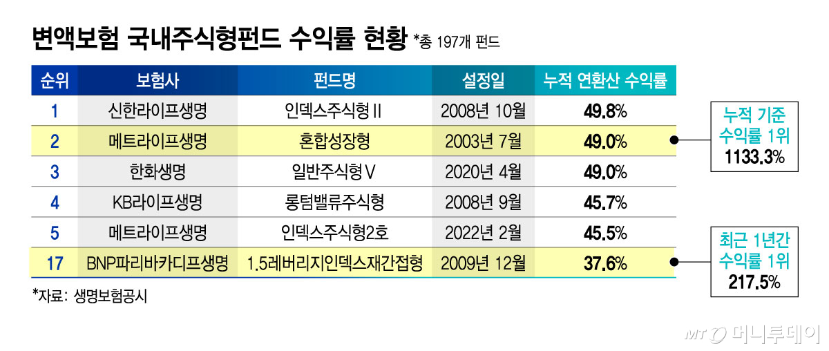 변액보험 국내주식형펀드 수익률 현황/그래픽=김지영