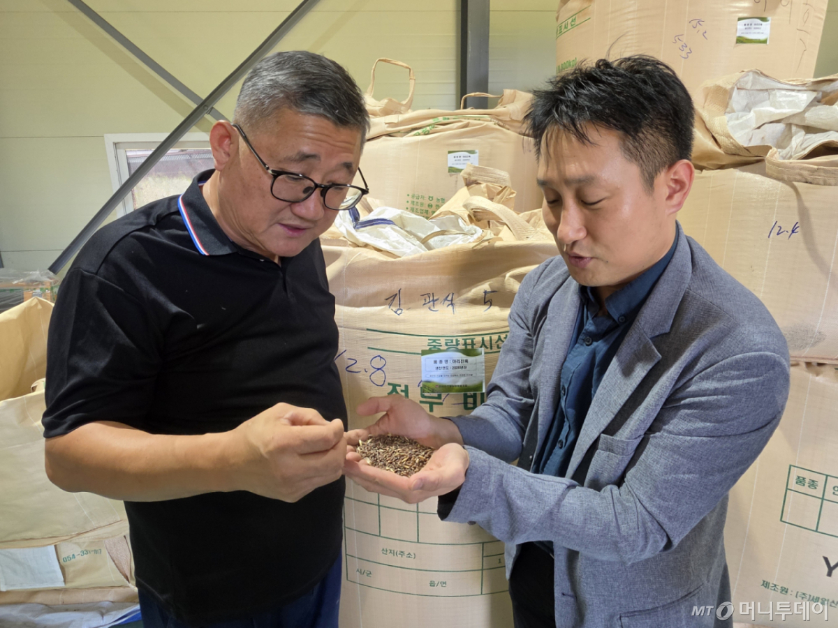 김태완 한국우리밀농협 상무(왼쪽)와 김경훈 국립식량과학원 기초식량작물부 맥류작물과 연구관이 지난 9일 광주 광산구 한국우리밀농협에서 수매한 국산 밀의 상태를 살펴보고 있다. /사진=이수현