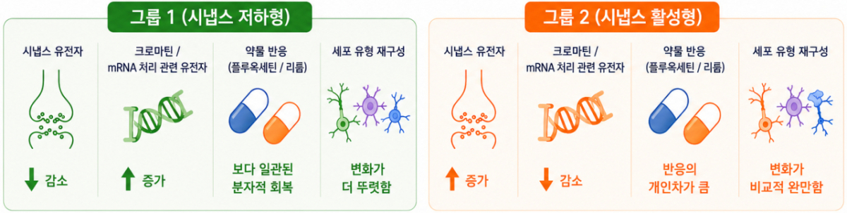 그룹 1과 그룹 2의 패턴 차이를 설명하는 일러스트 /사진=과학기술정보통신부