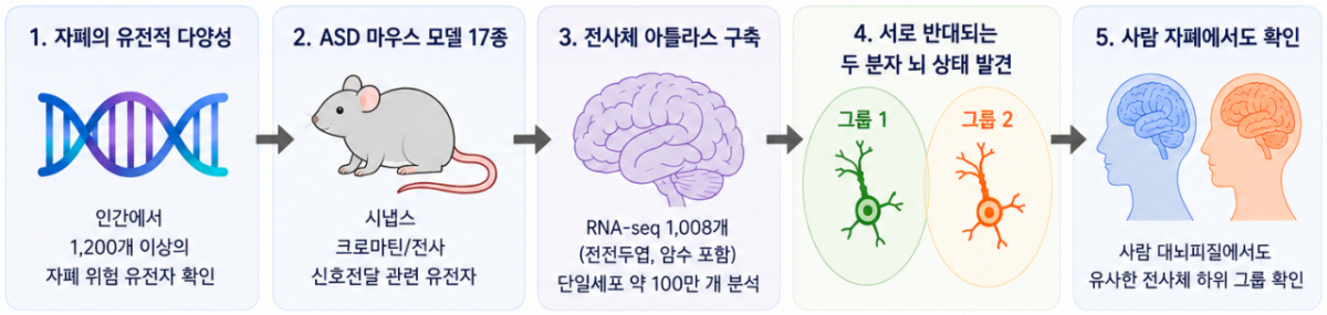 연구 결과를 요약한 일러스트 /사진=과학기술정보통신부