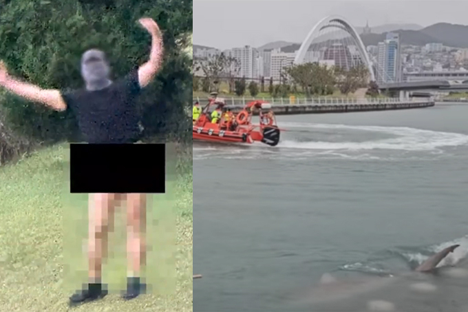 최근 한 여자고등학교 인근 야산에 나타난 일명 '바바리맨'의 모습. 부산 동구 북항 친수공원에 상어가 나타난 모습. /사진=JTBC '사건반장', 부산해경