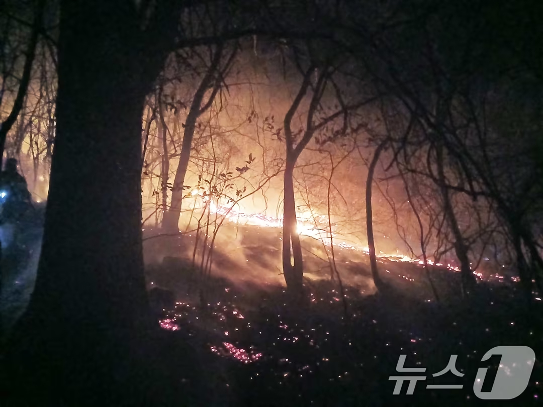 지난 2월 경남 함양군 마천면 창원리 야산에 불이 난 모습./사진=경남소방본부 제공