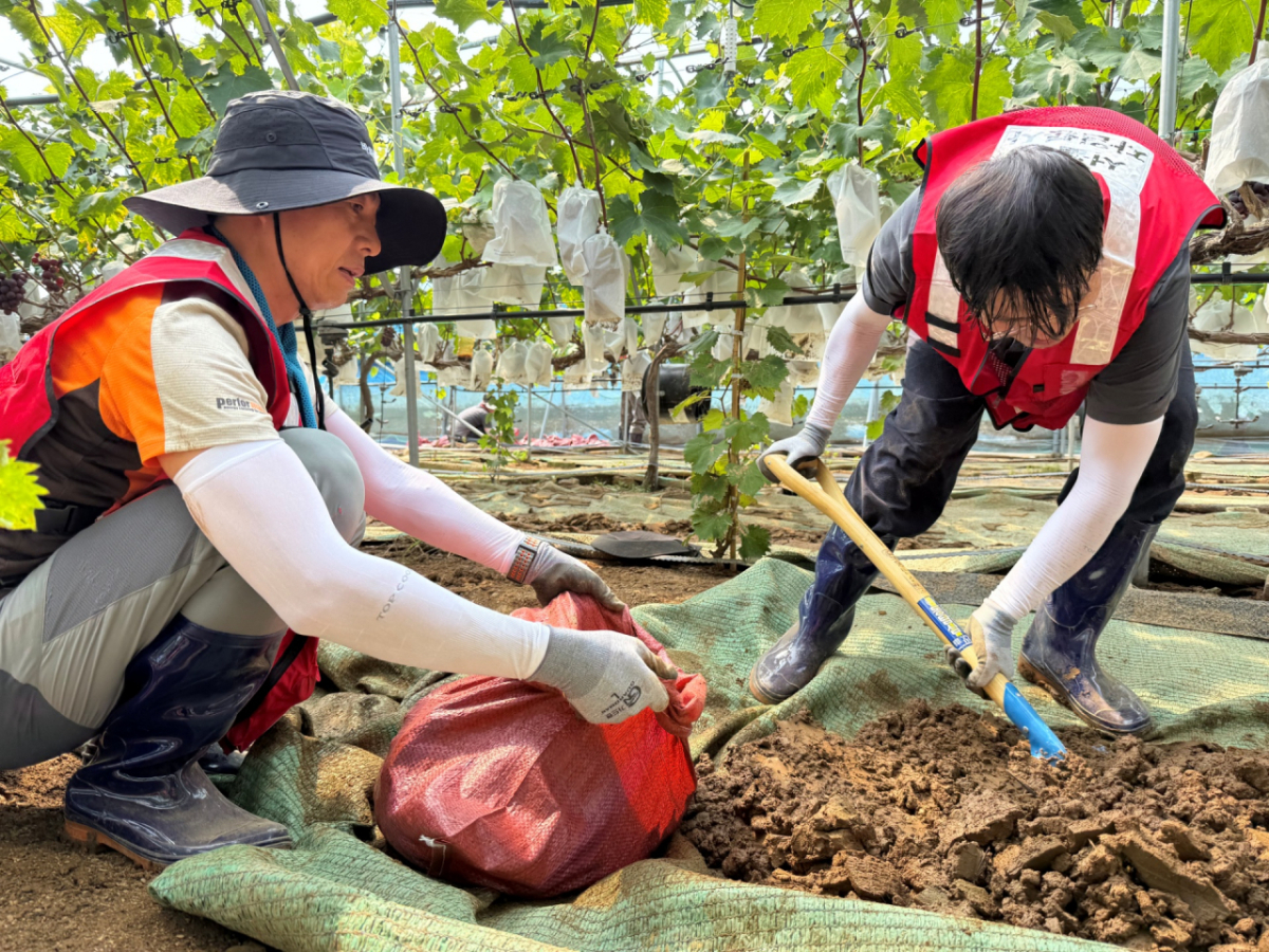 서울교통공사 직원들이 경남 거제시에서 수해 복구 작업을 하고 있다. /사진제공=서울교통공사