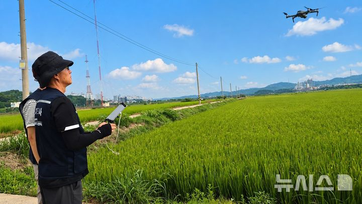국립농산물품질관리원 경기지원 조사반이 드론을 활용해 농지 심층 조사를 벌이고 있다. ⓒ뉴시스
