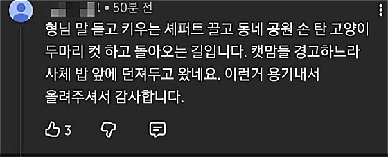 유튜브 새덕후 채널에 달린, 고양이와 캣맘에 대한 혐오 댓글./사진=새덕후 유튜브 채널