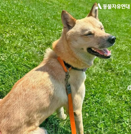 가족을 만나고 이런 표정을 지을 수 있게 됐다./사진=동물자유연대