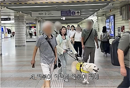 시각장애인인 허우령 KBS 앵커와 6년을 함께한 안내견 하얀이, 그리고 둘의 길을 알려주는 친절한 할아버지./사진=우령의 유디오 인스타그램(@wooryeong_heo)