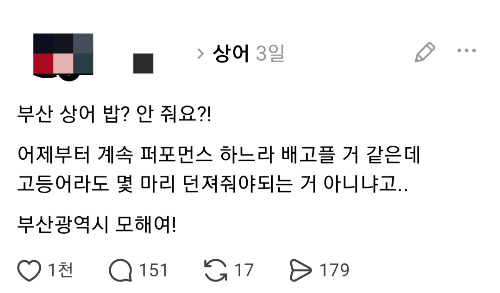 지난 18일 부산 북항에 출몰한 상어가 나흘째 머무는 가운데, 상어밥을 걱정하는 일명 '상어맘'까지 등장해 화제다. /사진=스레드 캡처
