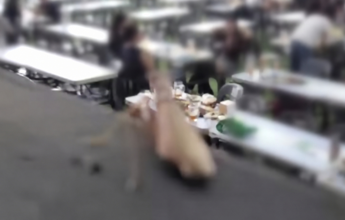사마귀를 촬영하던 20대 남성이 다른 사람을 몰래 찍었다는 의심을 받았다며 억울함을 호소했다./사진=JTBC '사건반장'
