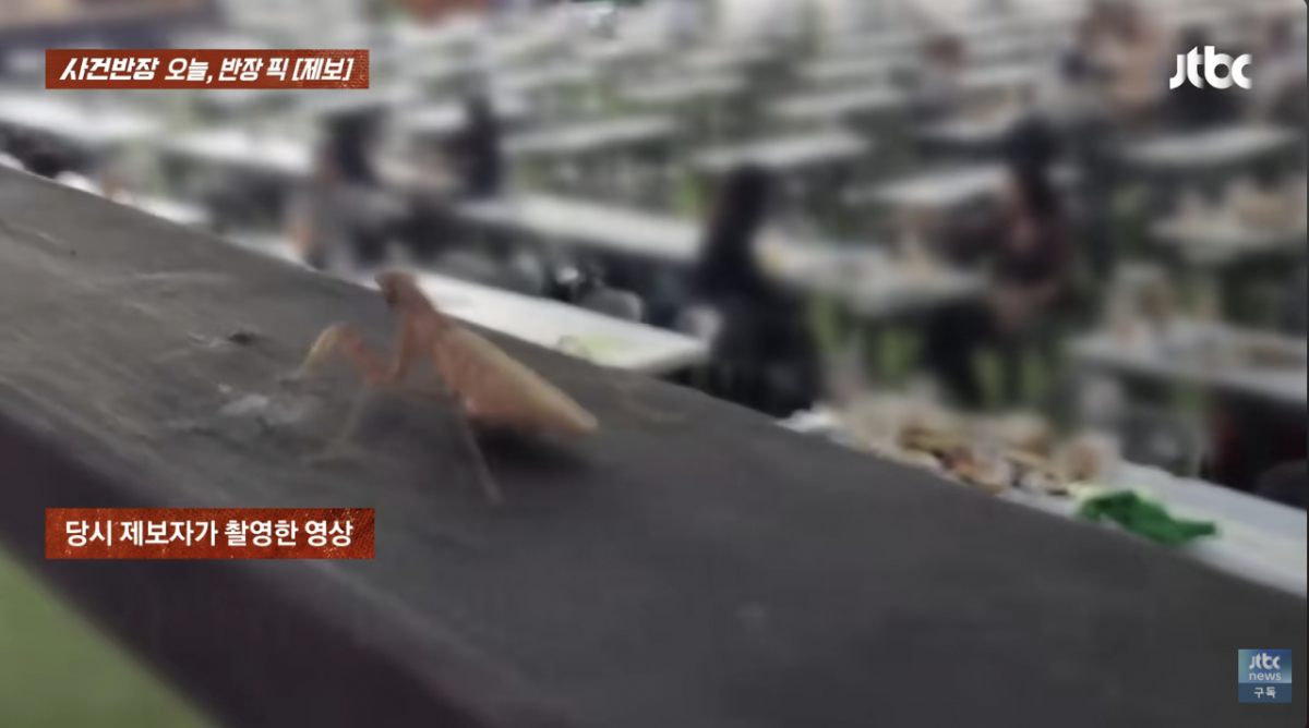 방송에서 공개된 실제 영상에는 사마귀가 가까이서 촬영돼 있었고, 뒤쪽에 있는 사람들은 초점이 맞지 않아 흐릿하게 나왔다. /사진=JTBC '사건반장'
