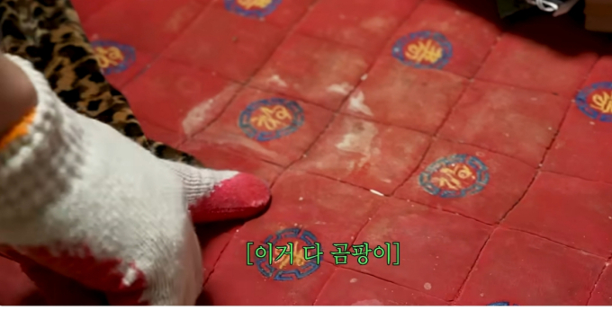 해당 유튜브에서 제작진이 전원주 안방을 정리해주다, 침대 패드에 피어있는 곰팡이를 발견한 장면. /사진=유튜브 '전원주인공' 화면 갈무리.