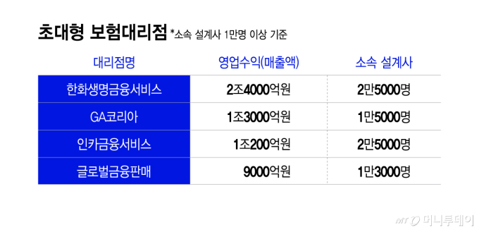 초대형 보험대리점/그래픽=이지혜