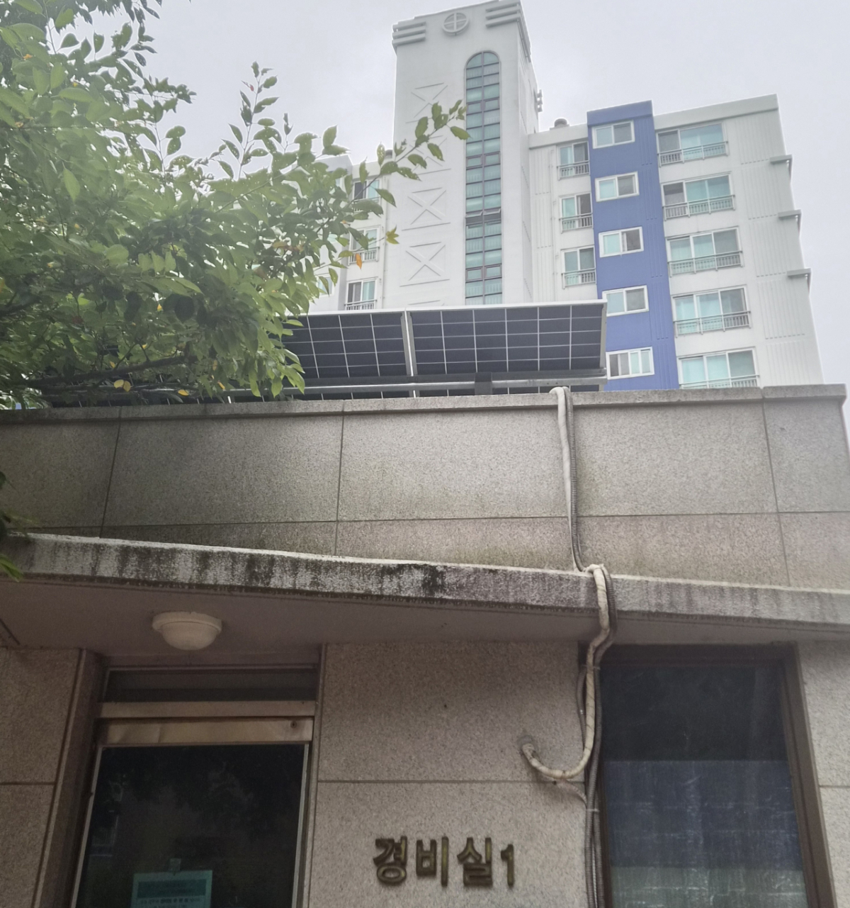 경비초소 위 태양광/사진=권다희 기자