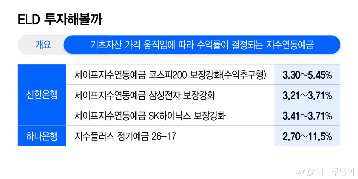 ELD 투자해볼까/그래픽=이지혜