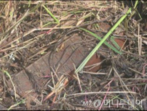 (서울=뉴스1) 김명섭 기자 = 합동참모본부와 유엔군사령부가 29일 최근 서부전선에서 발생한 지뢰 폭발 사건 추가 현장 조사를 진행하며 발견한 북한 수지(플라스틱) 반보병 지뢰. (합동참모본부 제공. 재판매 및 DB 금지) 2026.9.29/뉴스1 Copyright © 뉴스1. All rights reserved. 무단 전재 및 재배포, AI학습 이용 금지.