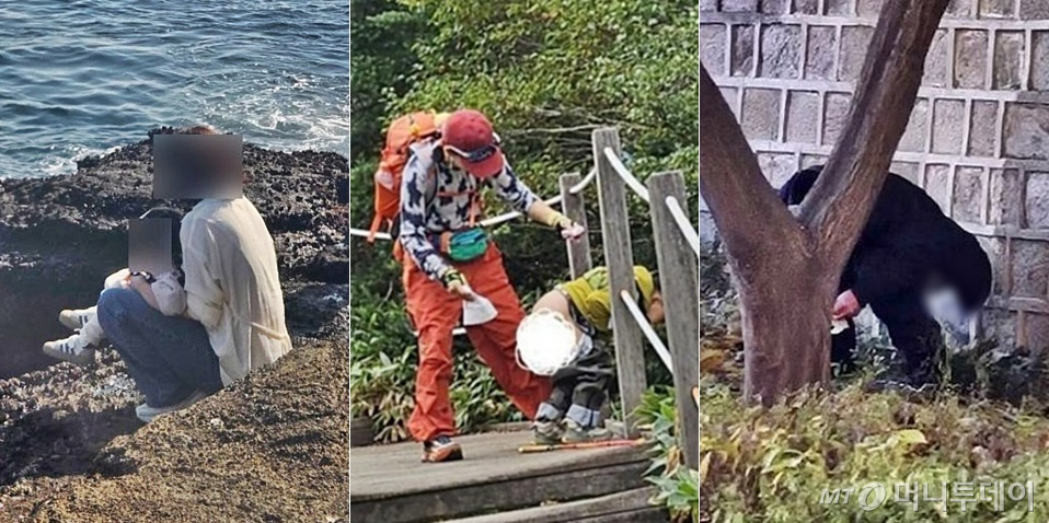 지난해 제주 용머리해안과 한라산, 서울 경복궁에서 중국인 추정 관광객들이 용변을 보는 모습이 공개돼 논란이 일었다./사진=온라인 커뮤니티, 한라산국립공원 홈페이지