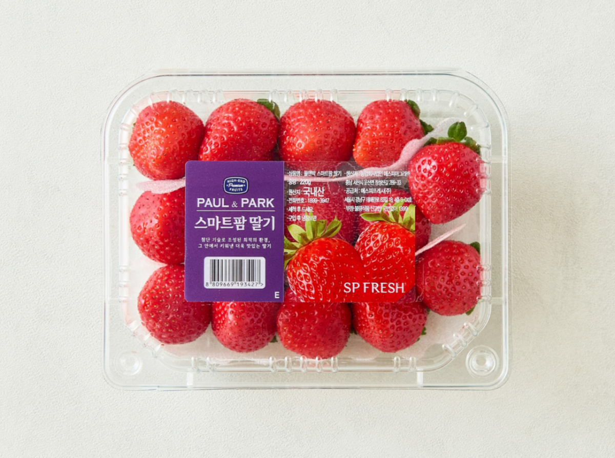 롯데마트 스마트팜 딸기./사진제공=롯데마트