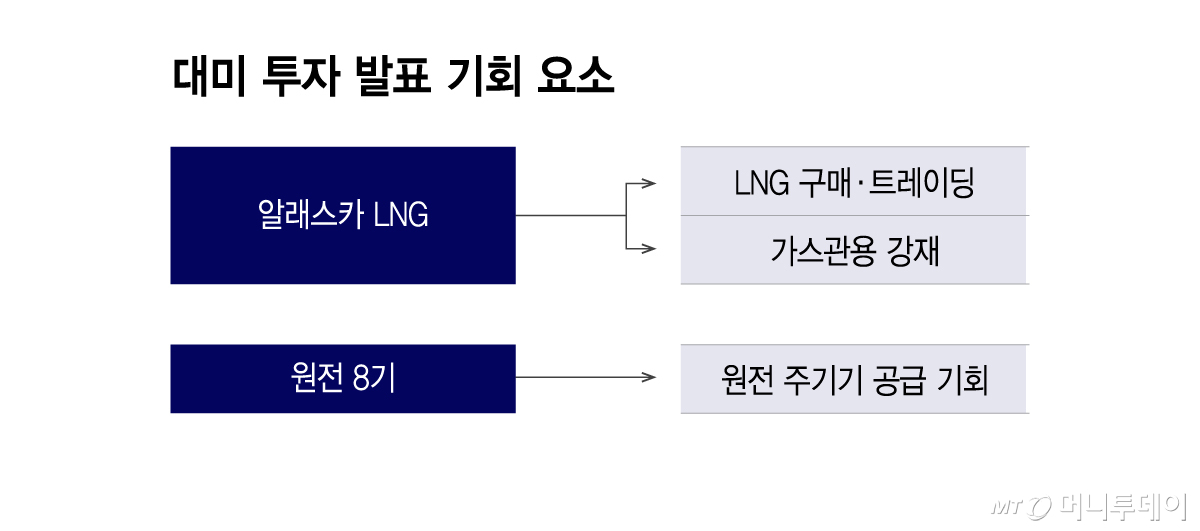 대미 투자 발표 기회 요소/그래픽=이지혜