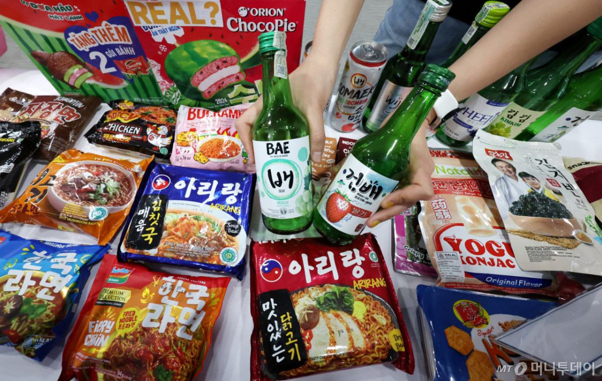 한류편승상품 등 한국제품 같이 모방한 상품들. /사진=뉴시스.