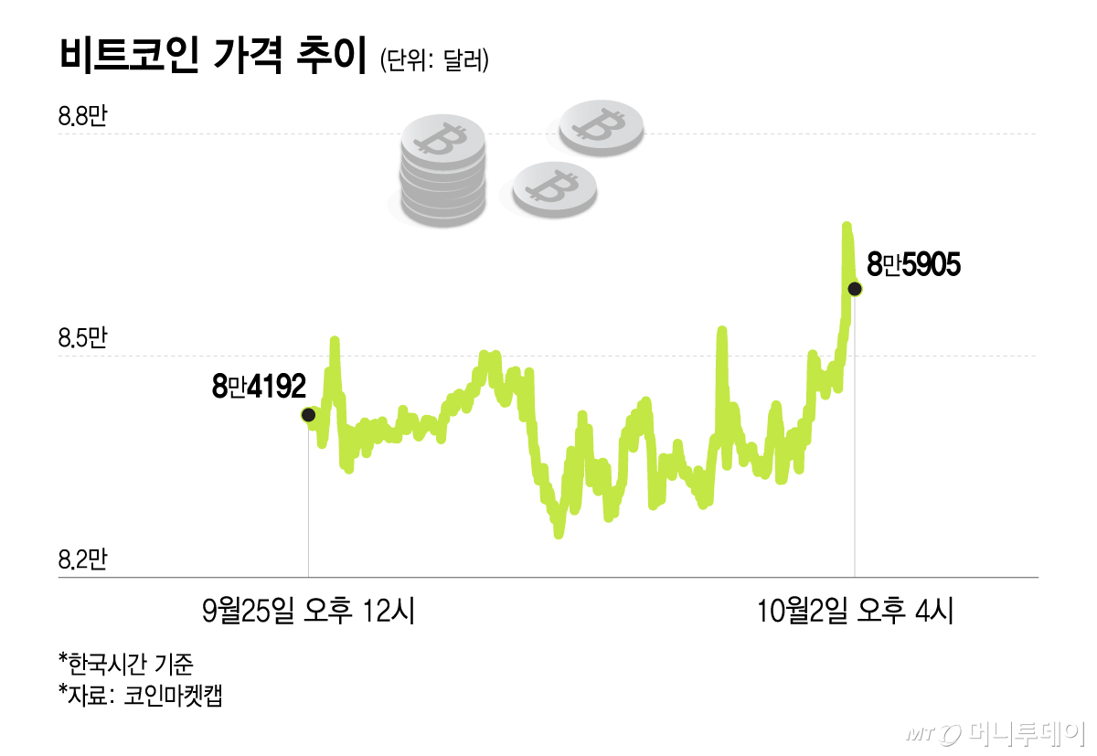 비트코인 가격 추이/그래픽=이지혜