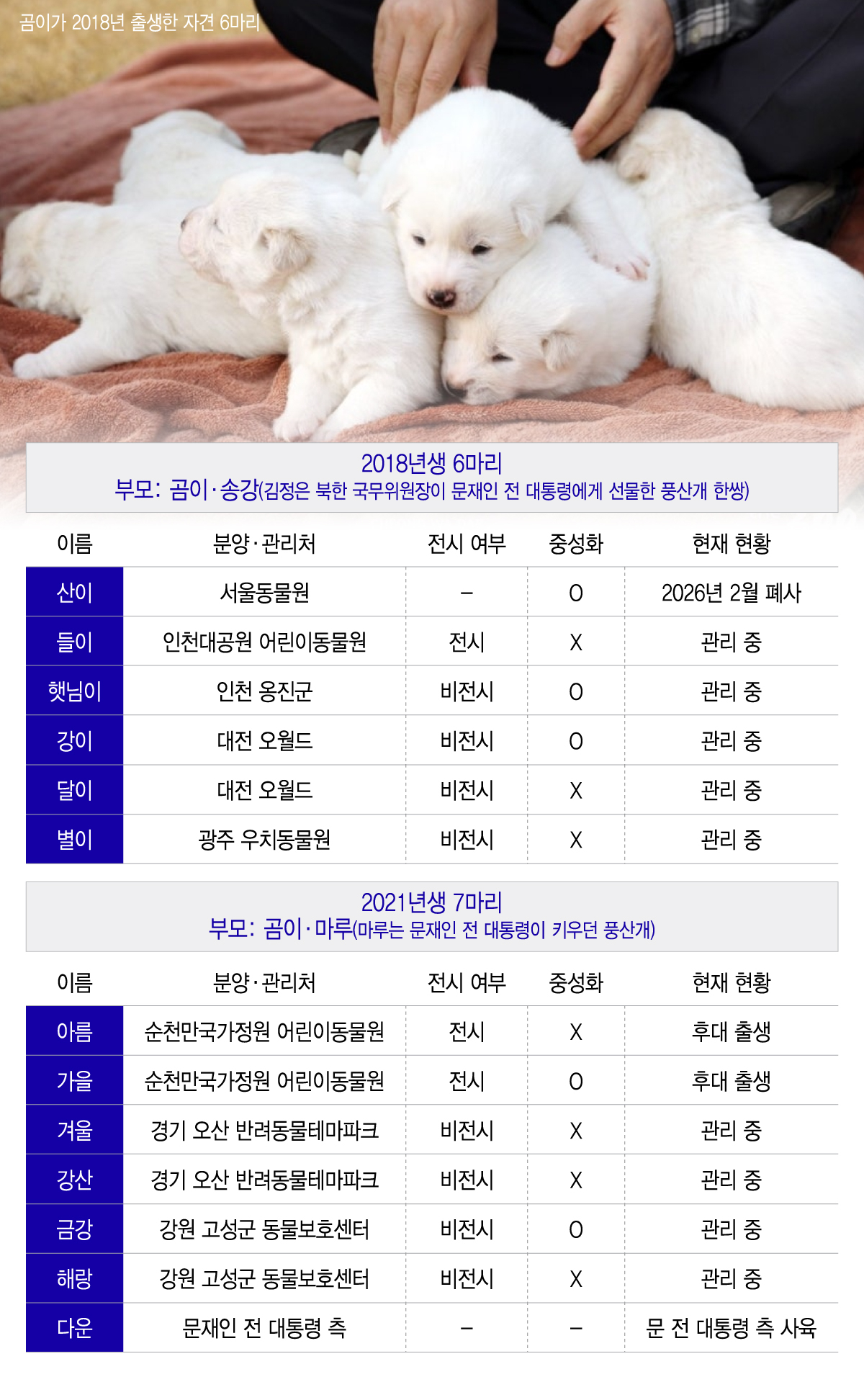 /그래픽=이지혜 디자인 기자