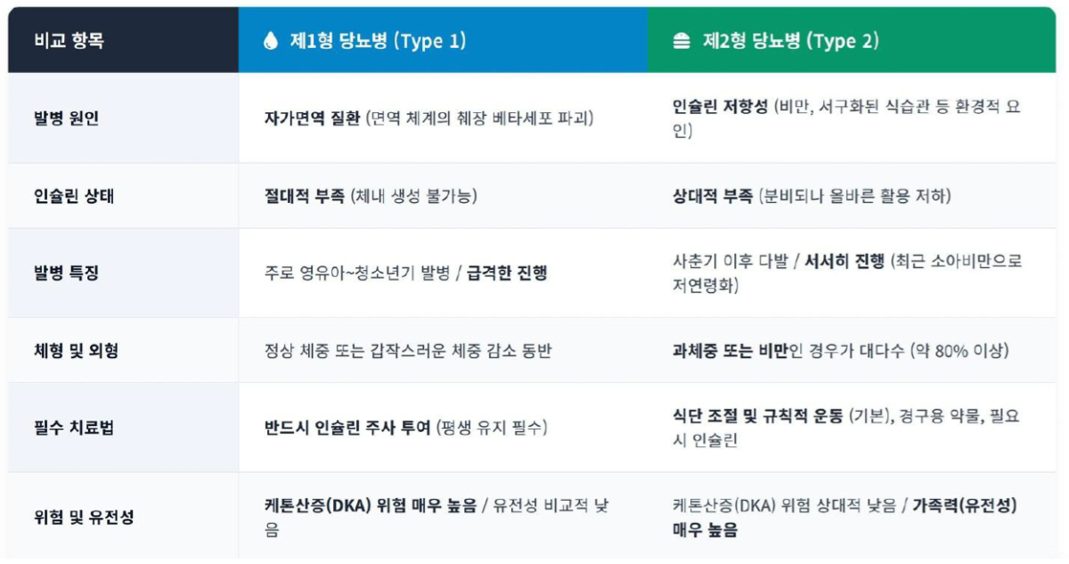 1형 당뇨병과 2형 당뇨병 비교. /사진=질병관리청 국립보건연구원