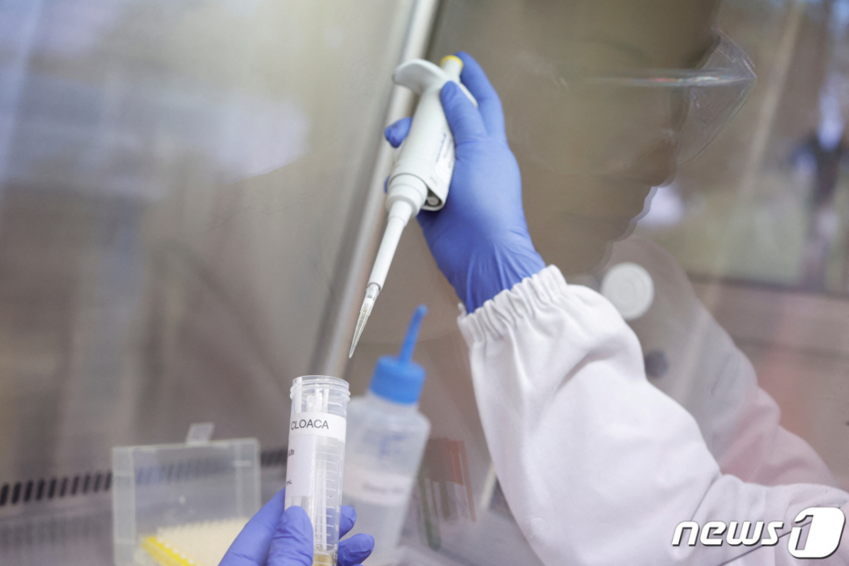 A researcher works on a virus sample in a laboratory in Campinas, Brazil. Not directly related to the article content. / ⓒ Reuters=NEWS1