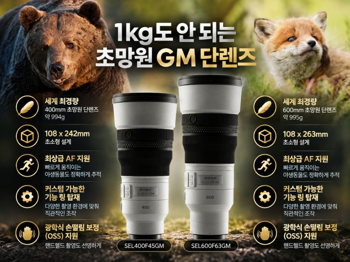 기사 관련 이미지/사진=챗GPT 생성