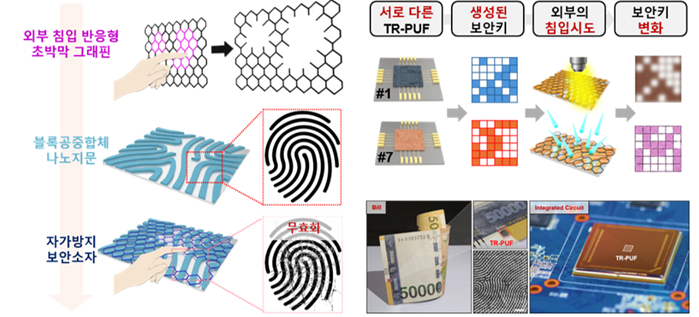연구내용 모식도./사진제공=아주대