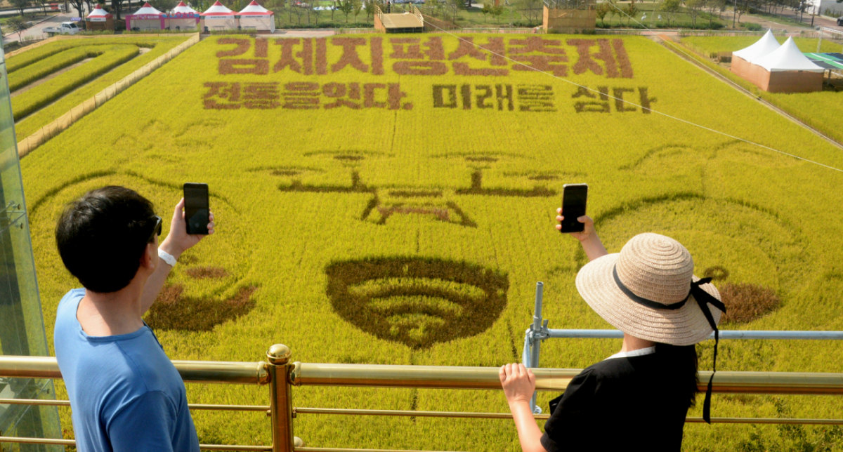 전북 김제시에서 열린 제28회 김제지평선축제 먹거리 장터에서 음식을 먹은 방문객 260명이 집단 식중독 의심 증세를 보여 보건당국이 역학조사에 나섰다. 사진은 축제 개막을 이틀 앞둔 지난달 29일 전북 김제시 벽골제에 마련된 들녁마당을 찾은 시민들이 유색벼로 조성한 대지아트를 감상하고 있는 모습. /사진=뉴시스