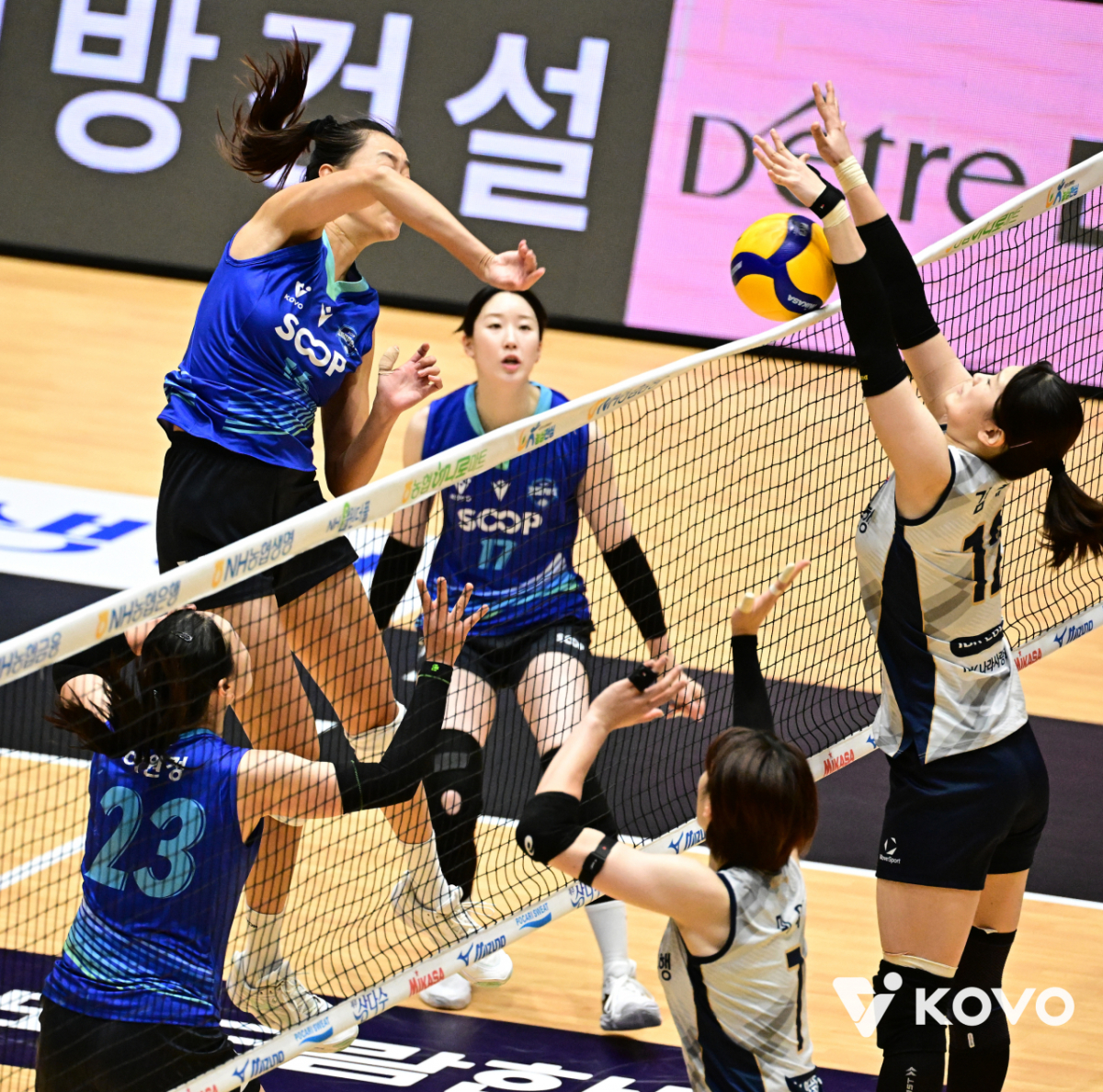 11일 여수 진남체육관에서 열린 IBK기업은행과 SOOP의 경기 모습. /사진=한국배구연맹 제공