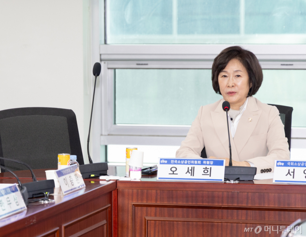 오세희 더불어민주당 의원이 지난 1월 21일 서울 여의도 국회 의원회관에서 열린 전국소상공인위원회·전국상인연합회 정책간담회에서 인사말하고 있다./사진=뉴스1