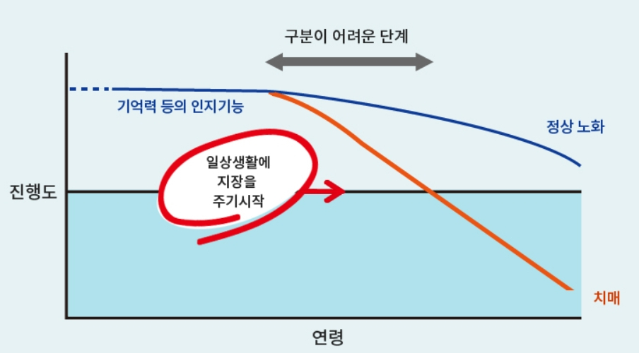 정상 노화와 치매의 진행 속도 그래프. 이 둘을 명확하게 구분하기 어려운 단계가 경도인지장애다. /자료=대한신경정신의학회