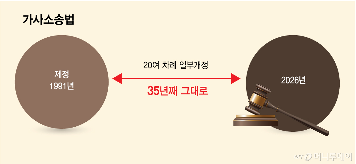 가사소송법/그래픽=김다나