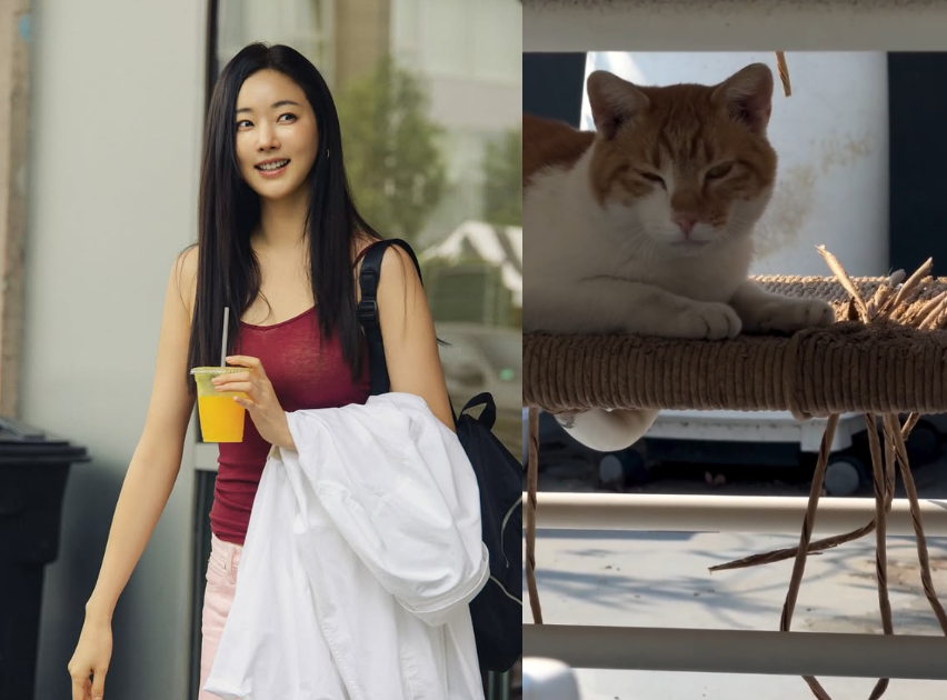 배우 김사랑(48)이 월세를 내지 않는 특별한 세입자를 공개해 화제다./사진=김사랑 인스타그램